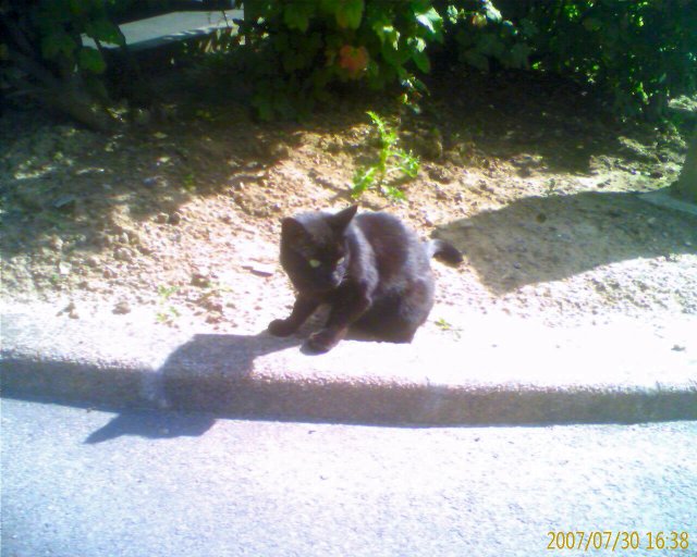 2007-08-01 Fredo defonce_l.jpg